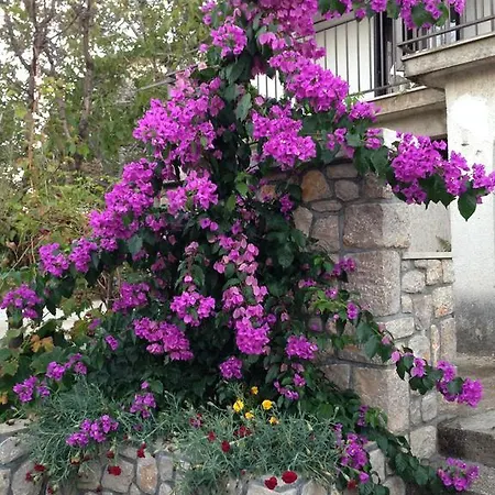 Guesthouse Maver 3*